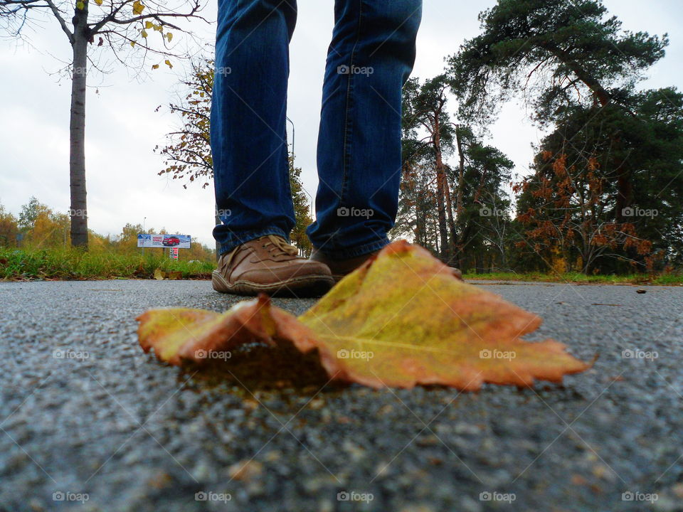 autumn in Kyiv,Ukraine