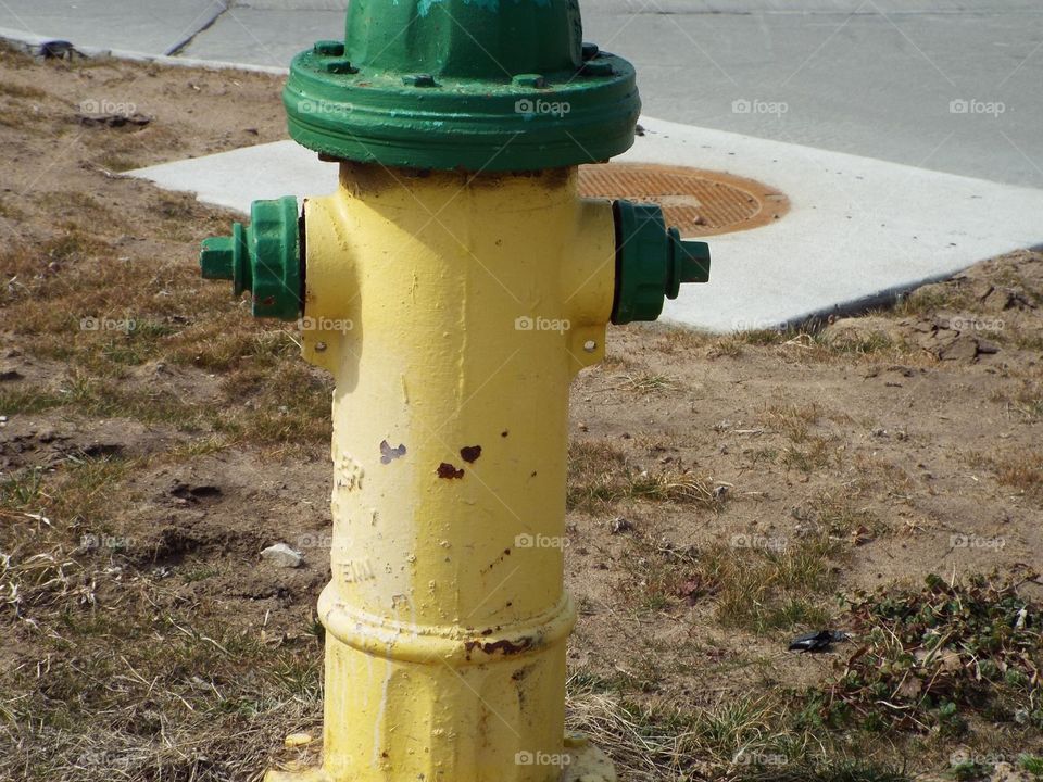 Fire hydrant 
