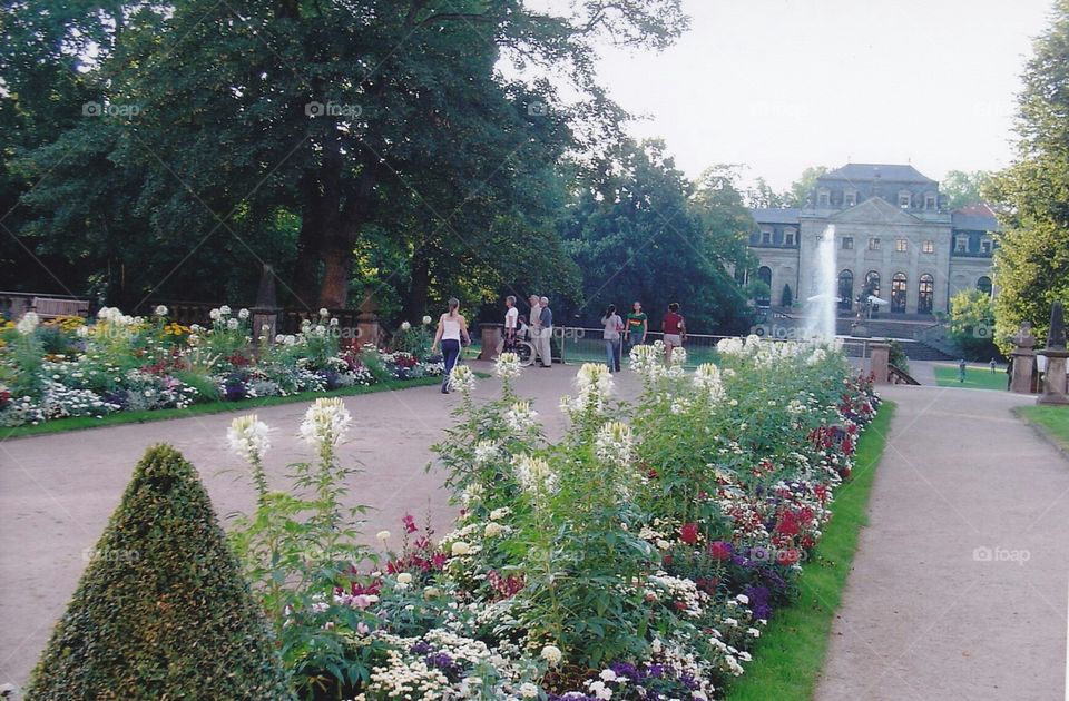 Garden, Flower, Park, Tree, Road