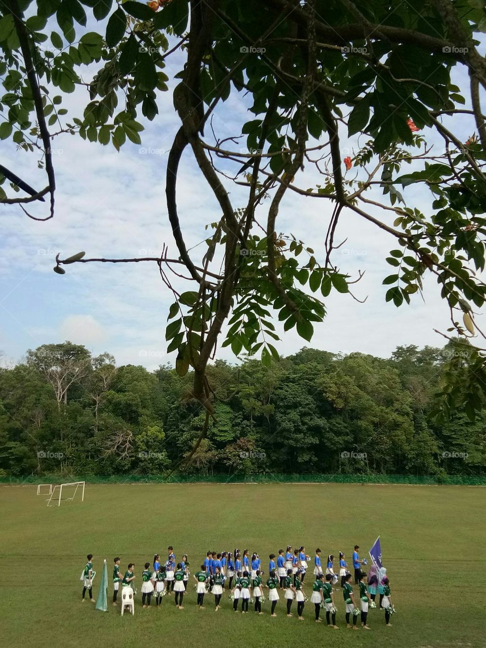 Introducing of crowds