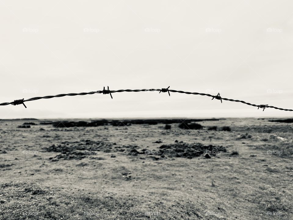 Barbed wire in the middle of nature.