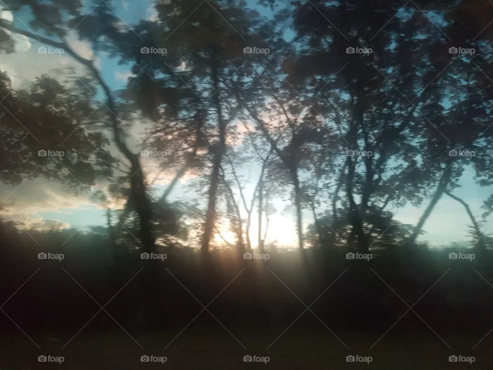 Natureza