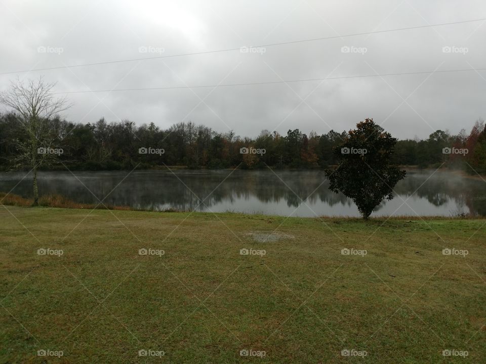 cold, pond, Misty day in Georgia