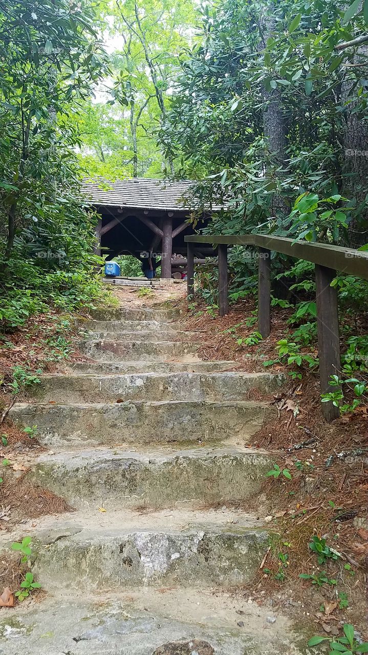 steps up to pavillion