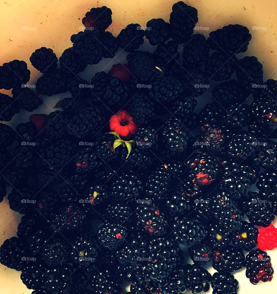 Fresh berries 
