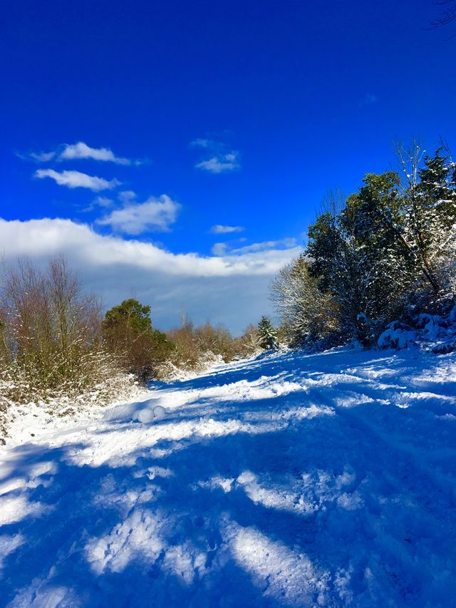 Snow Storm Approaches