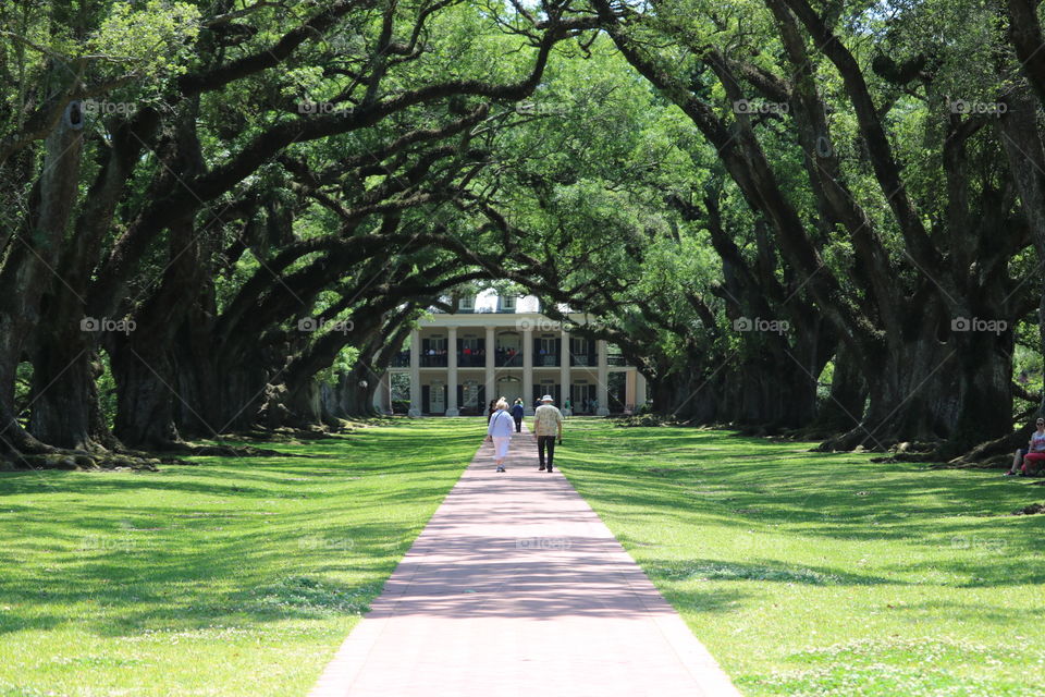 Oak Alley Plantation, Louisiana.