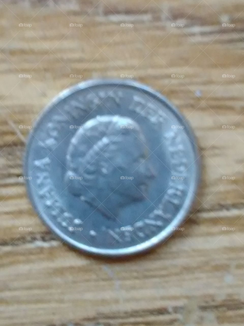 a Dutch 25 cent piece from the Netherlands