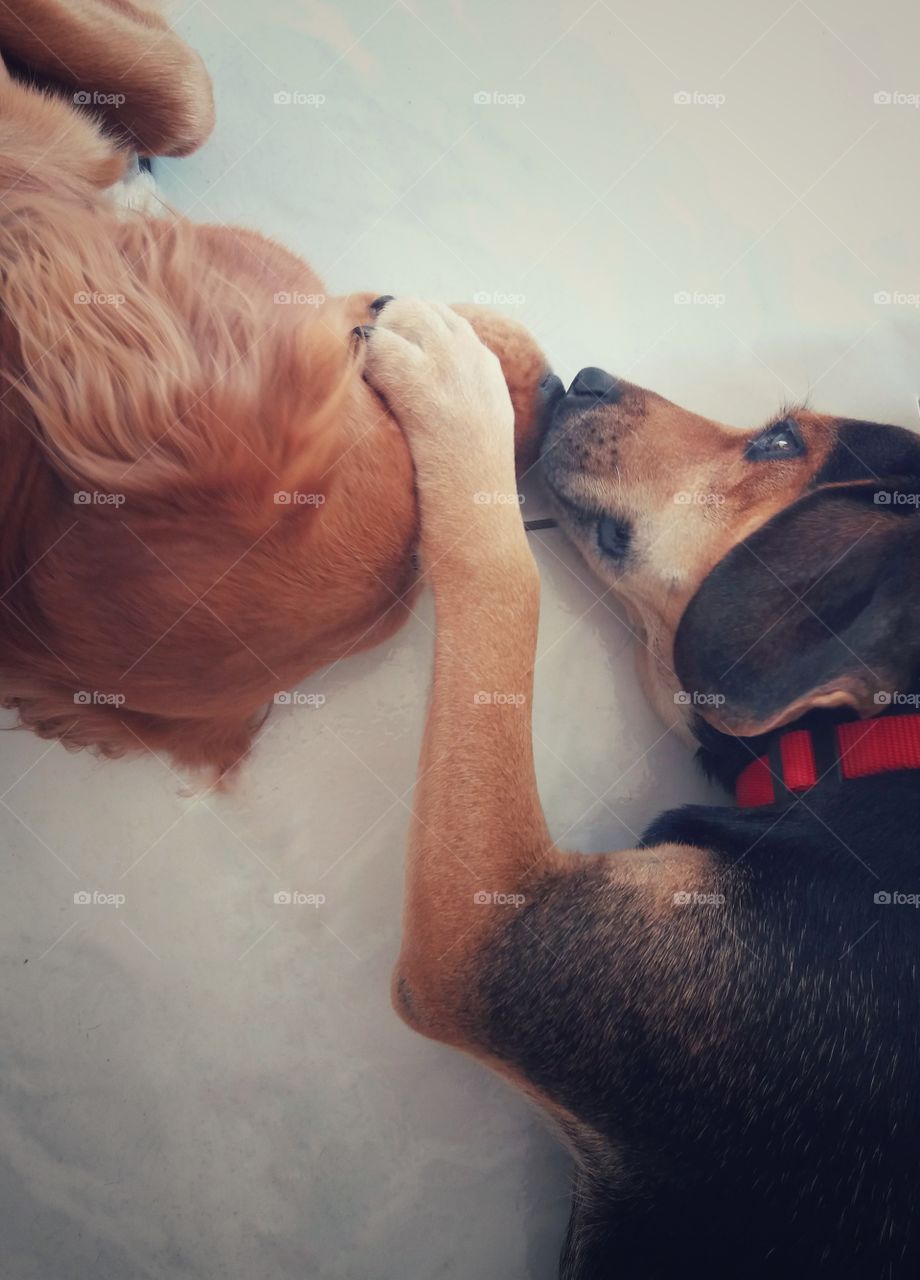 Love is everywhere ♥️