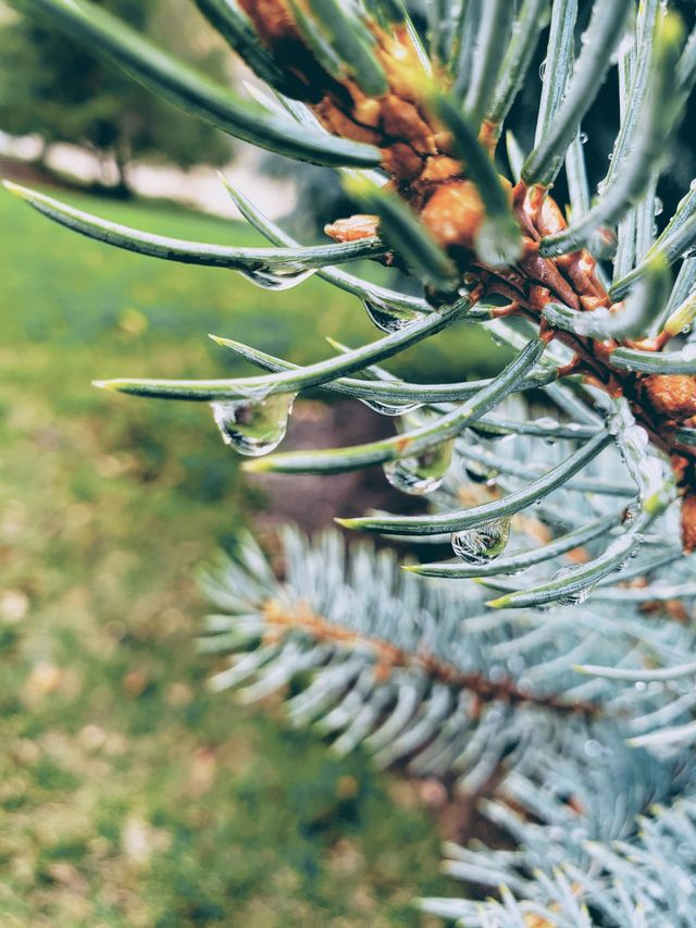 water drop