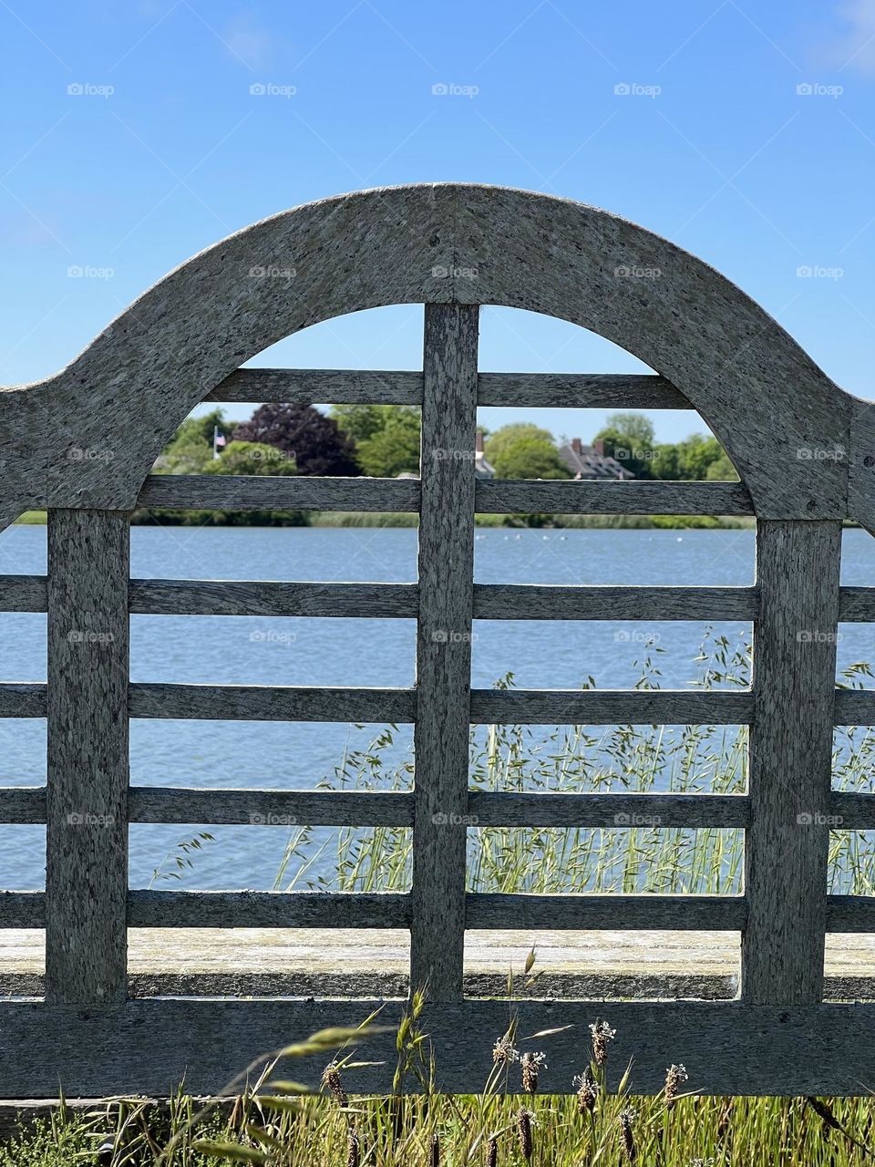 Bench by the water