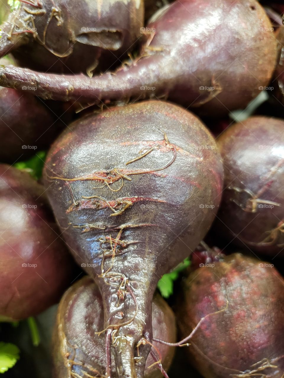 Fine details of texture on big red beats close up at the market
