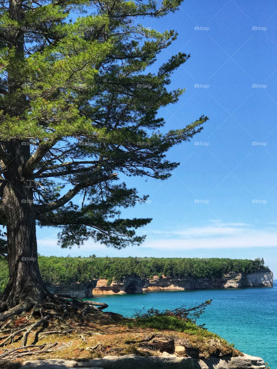 Nature is beautiful, nature is essential to our peace, for it is our home. It is our sanctuary. 