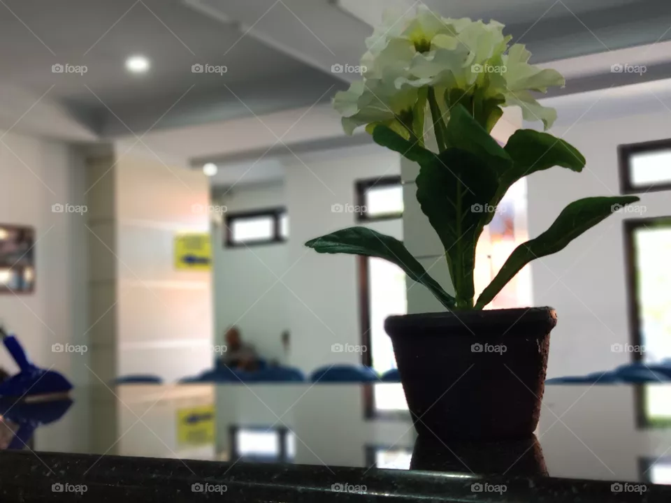a flower