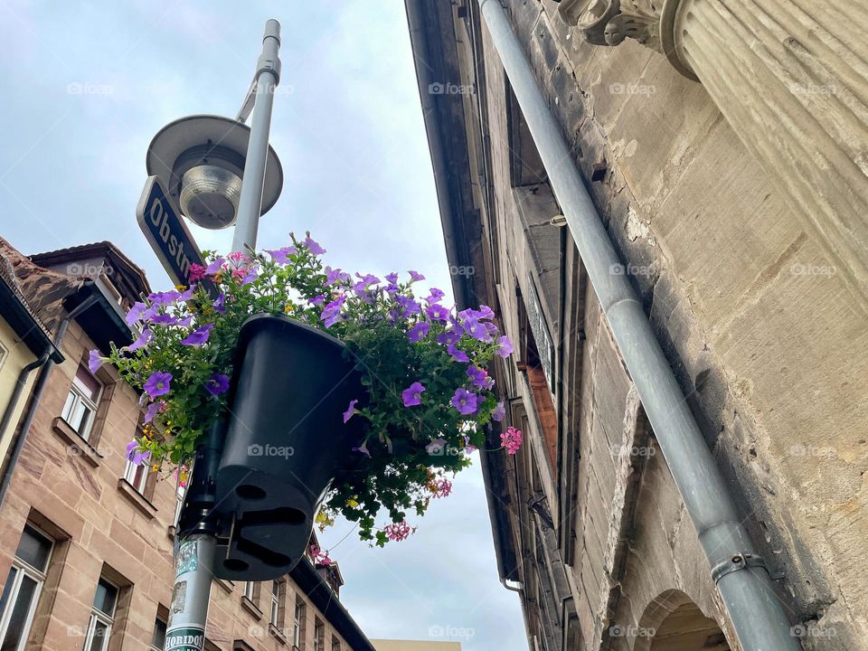 Planted colorful flowers hang from a light pole in the city between houses