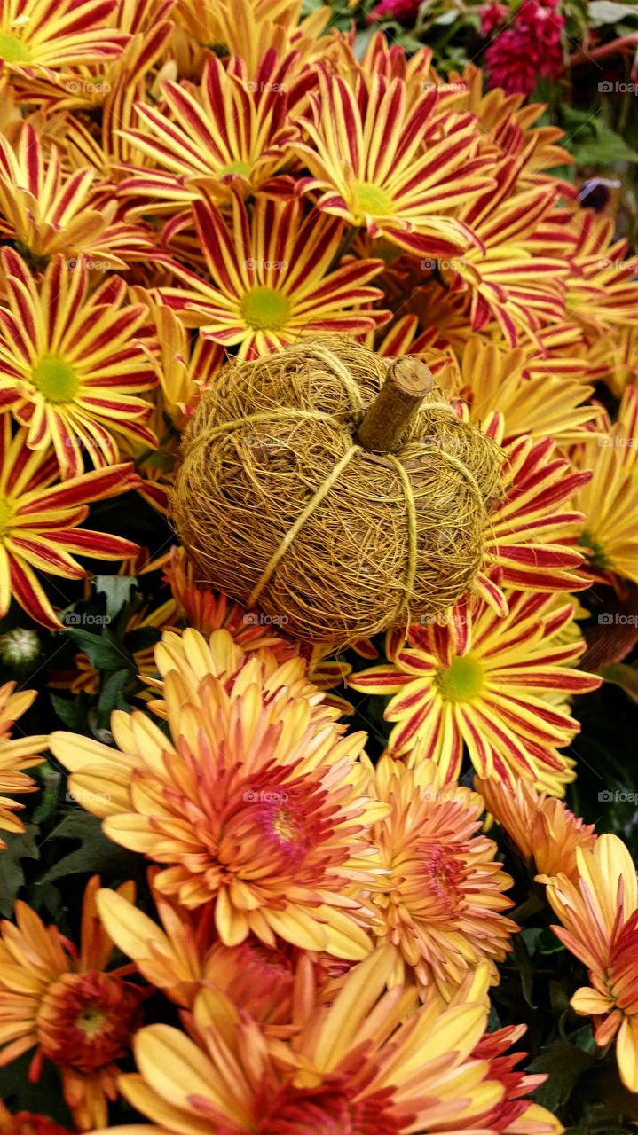 Autumn Floral Arrangement