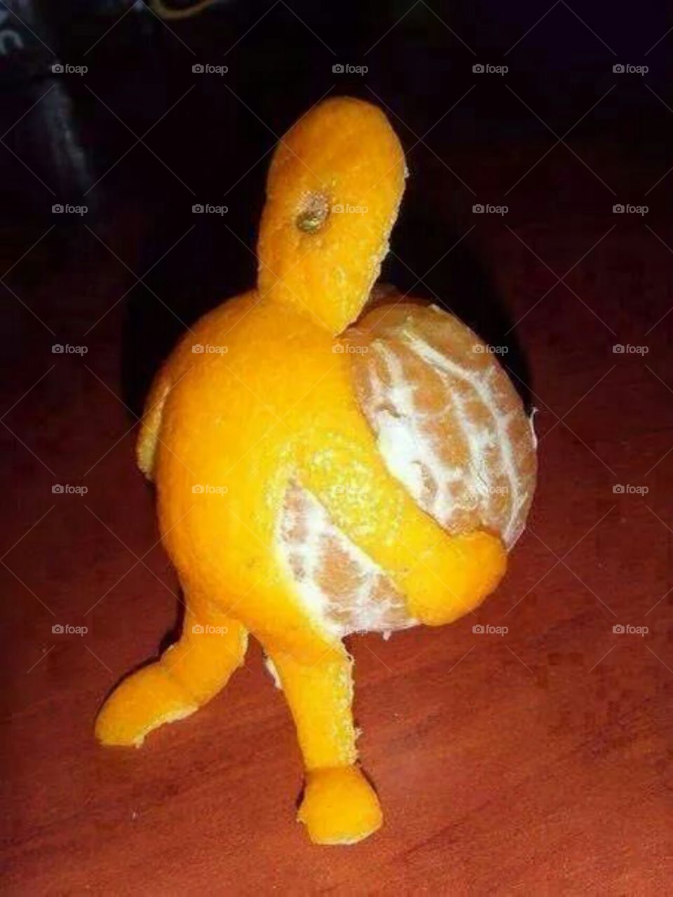 Fruit Art Oranges