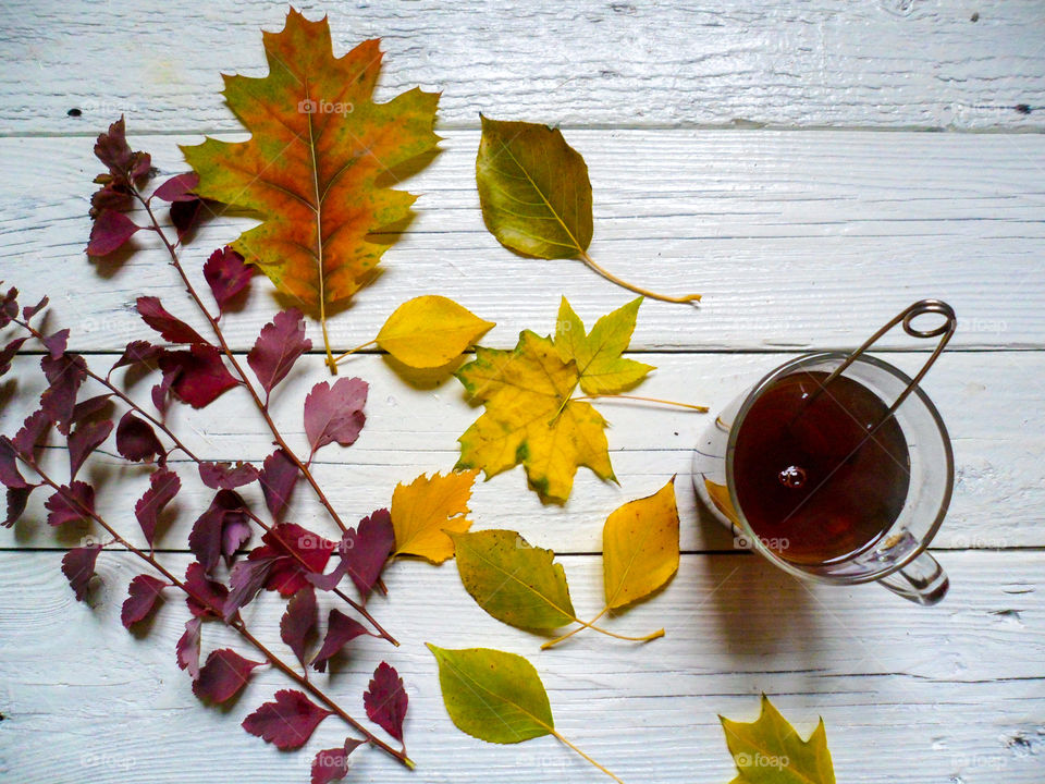 cup of coffee and a multi-colored autumn foliage