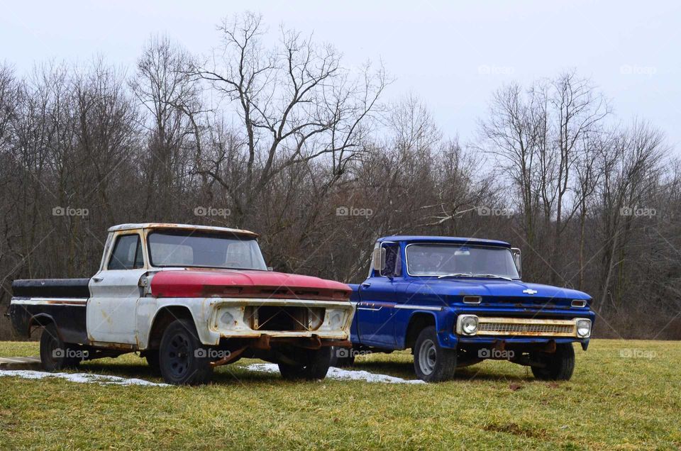 Take the Nostalgic Way Home (Series)