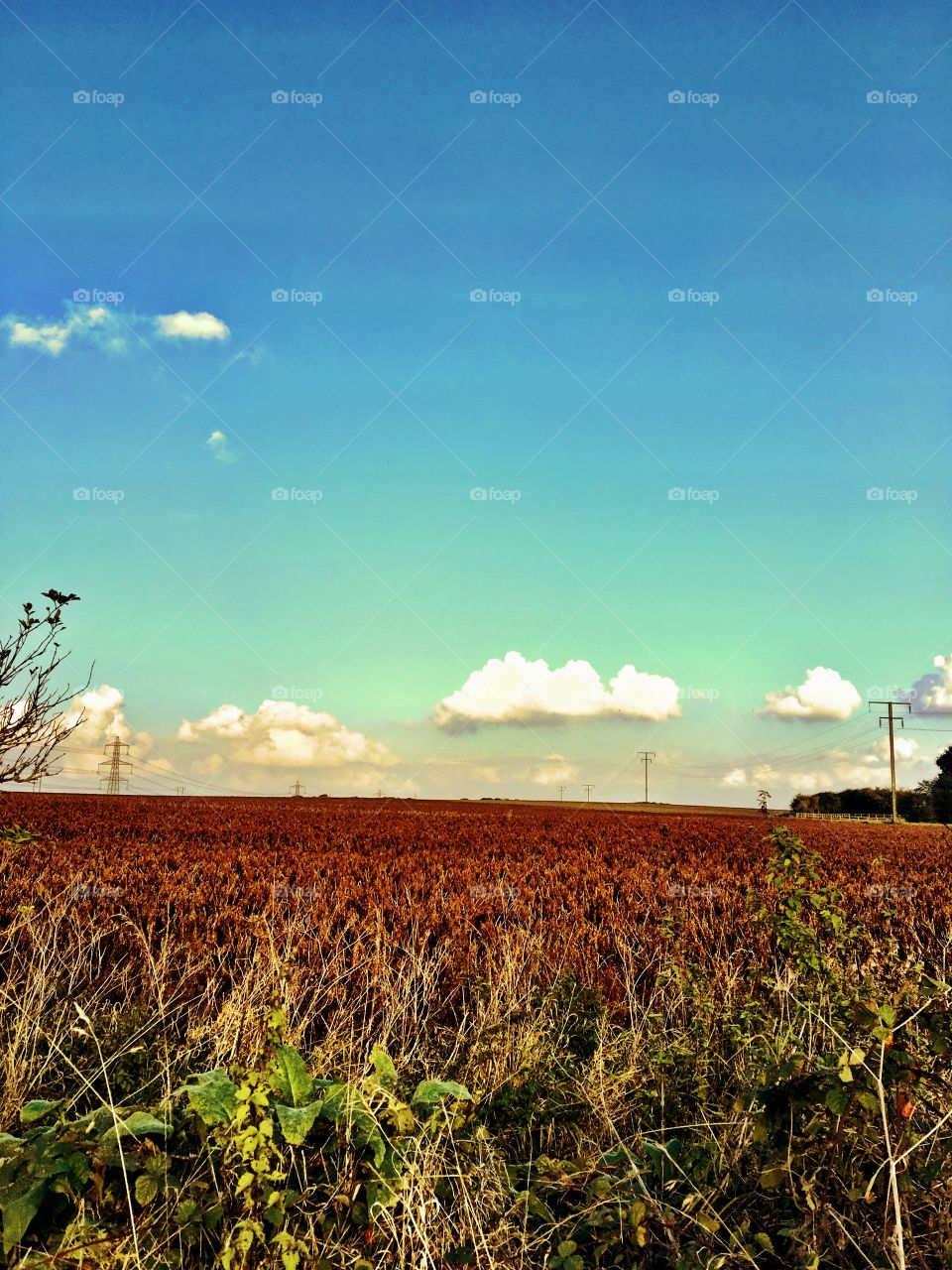Farmers field in Autumn 