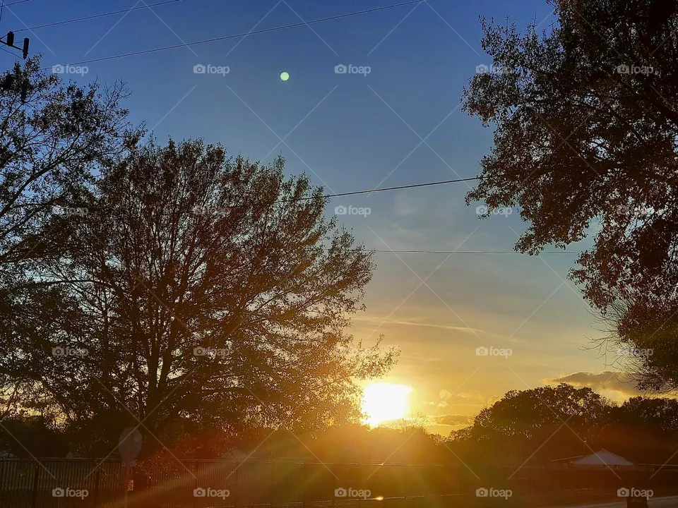 Good 'Ol Sunshine !