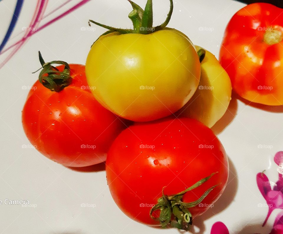 tomatoes