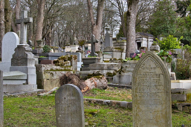 graves in a graveyard in paris