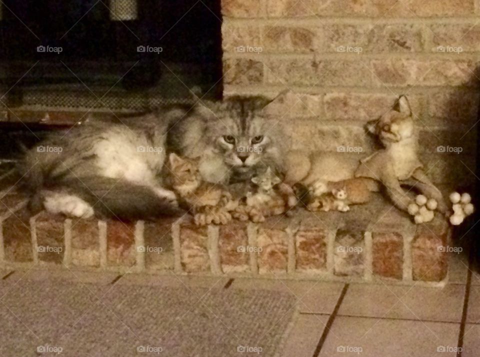 MalloyBoy . Blending in with the crowd...