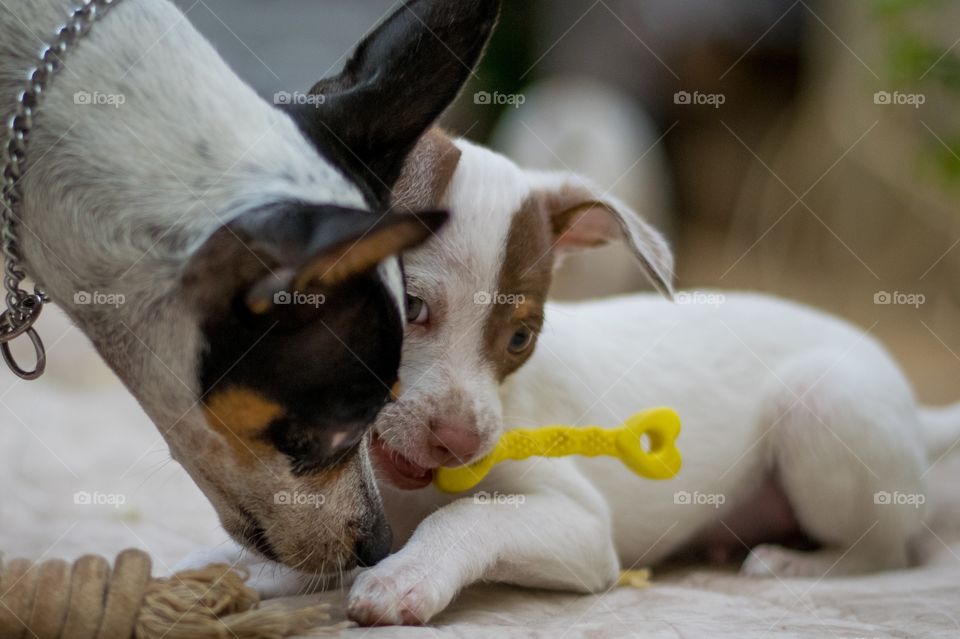 brincando com seu bebê