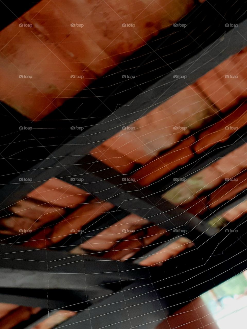 teia de aranha no telhado