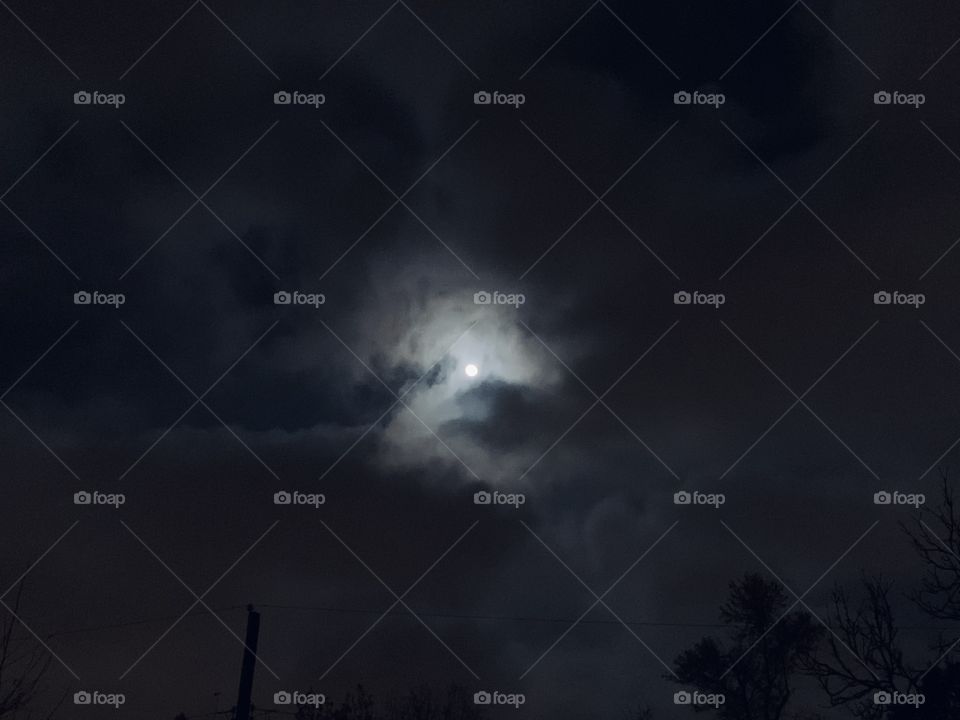 A moonlit night is a magical sight. I just love when the clouds roll through, to make the sky more interesting. 