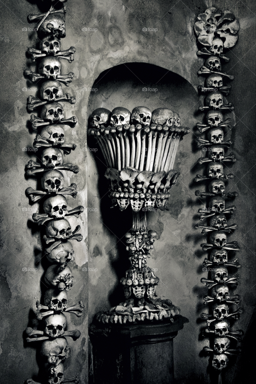 Bone, Skull, Frame, No Person, Horror