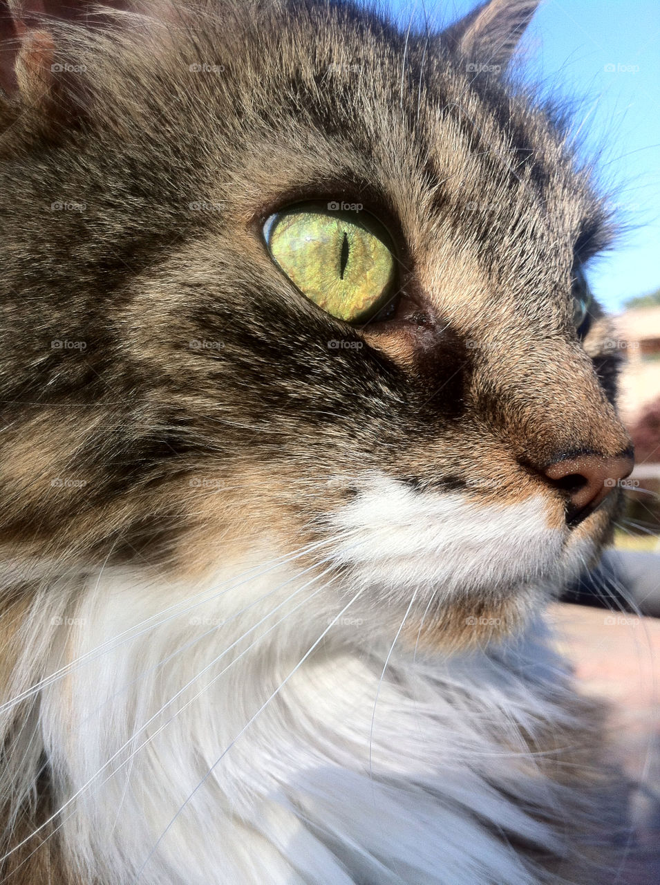 sweden skurup by goransv