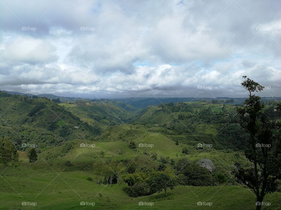 Field in Colombia