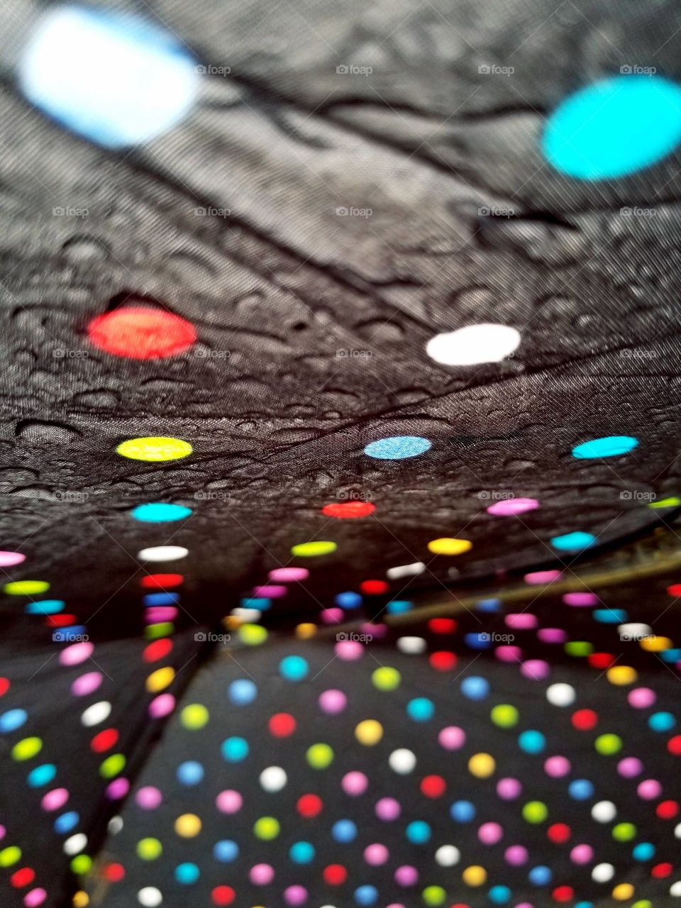 Inside a polka-dotted umbrella on a rainy day
