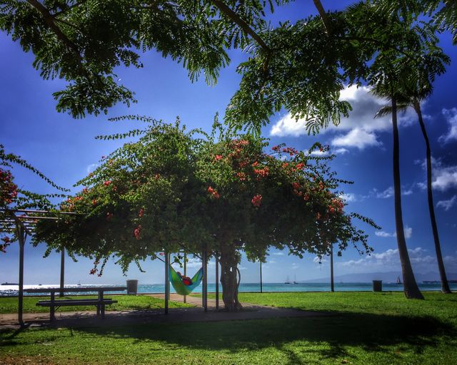 Hammocking 