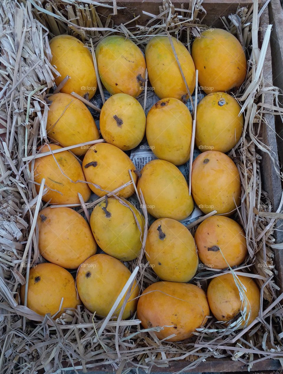 mango is a sweet food