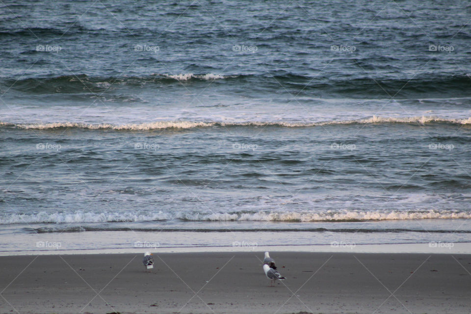 Atlantic City Beach