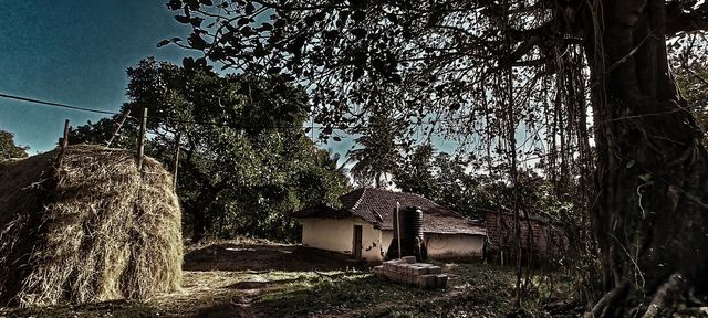 My Village