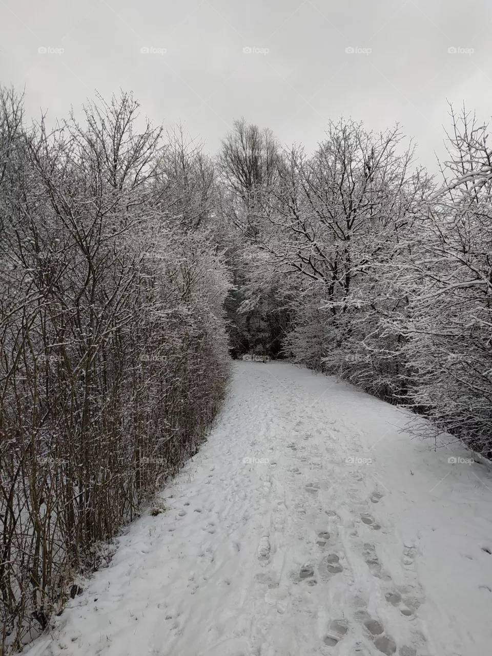 way in winter
