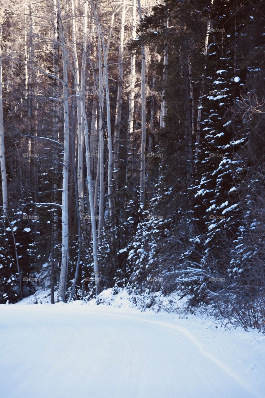 Serene mountain music and some snowfall