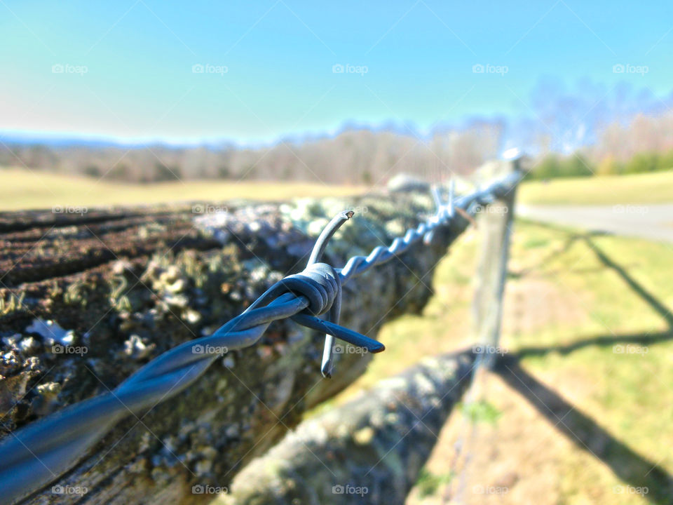 This was taken near the Kentucky/Tennessee border on a trip to the Cumberland Plateau. This farm was near the Highland Rim area, and when I saw the cedar/barbed wire setup, I had to take a photo.
