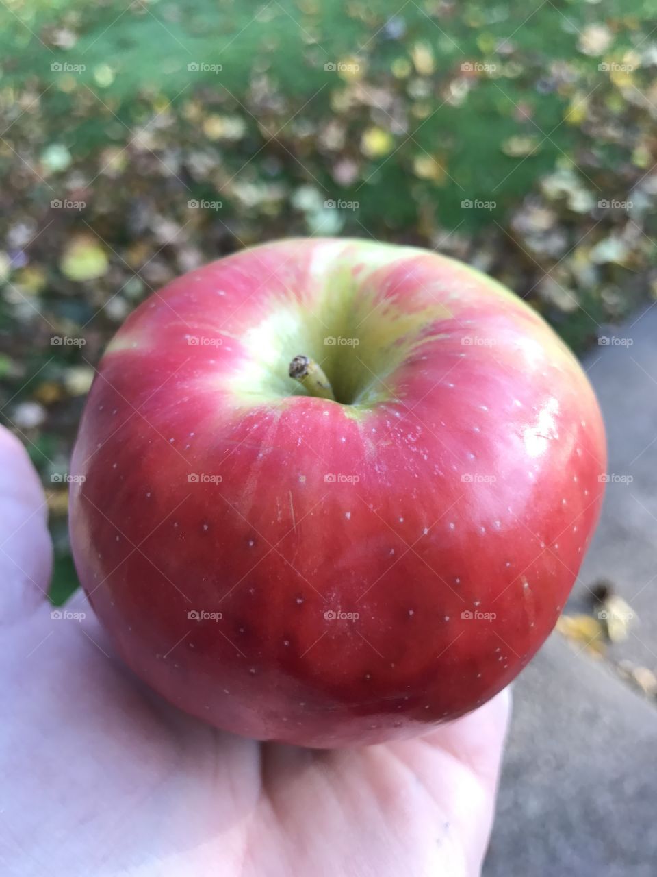 Delicious red apple