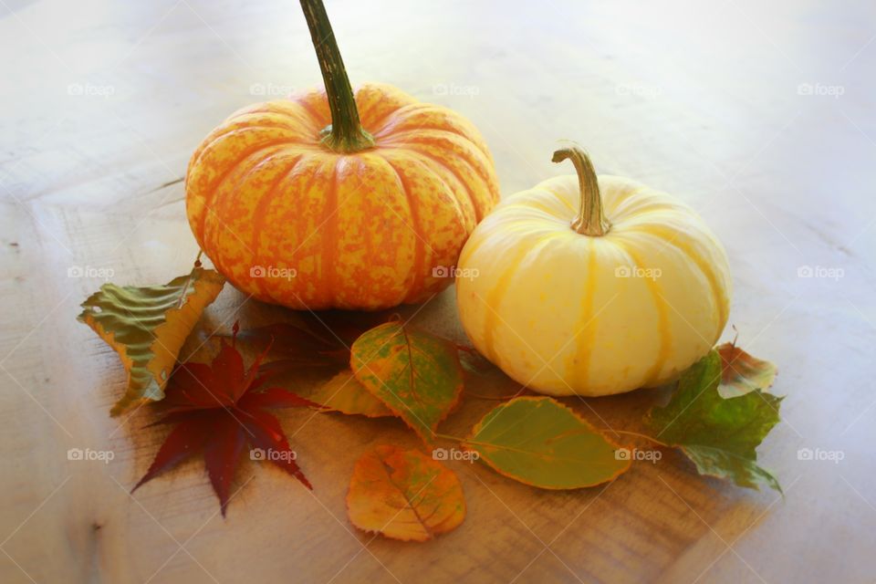 pumpkins and fall foliage