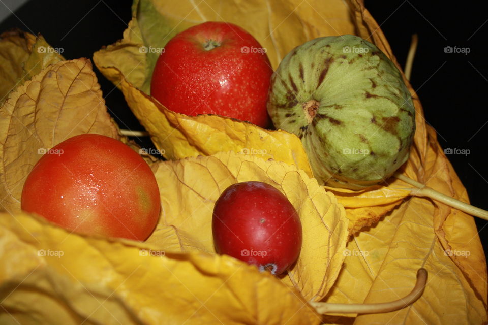 They are yellow autumn leaves. Inside the leaves I have placed seasonal fruits. It is a tomato, a plum, an apple and a custard apple. An autumn photograph.