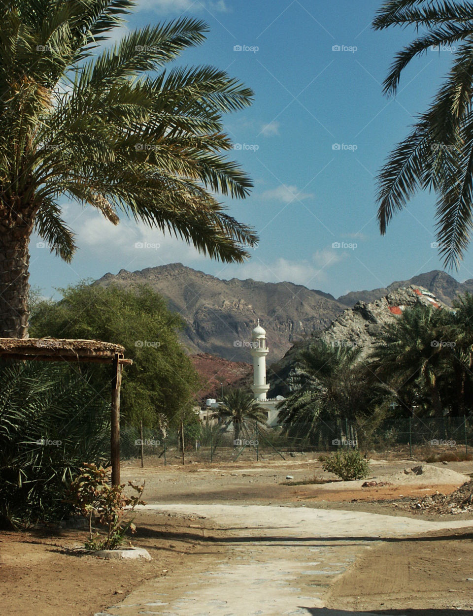 mountain palm trees village by chrisc