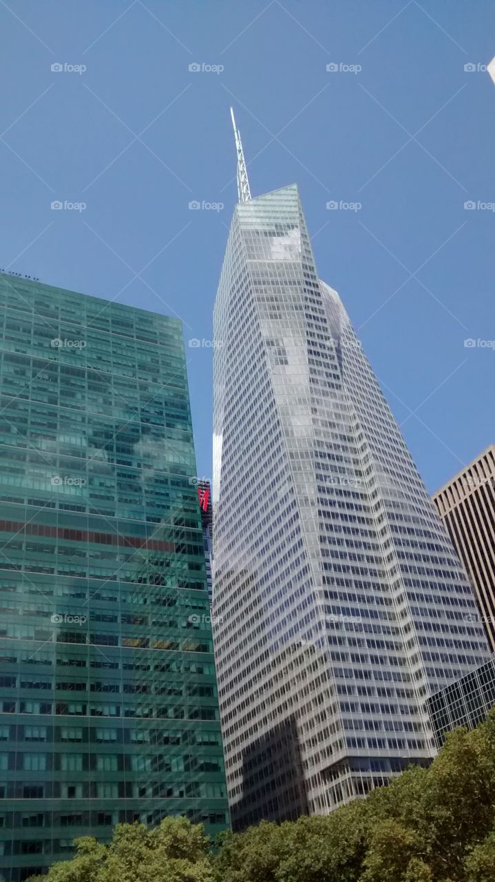 At Bryant Park Looking up. NYC.