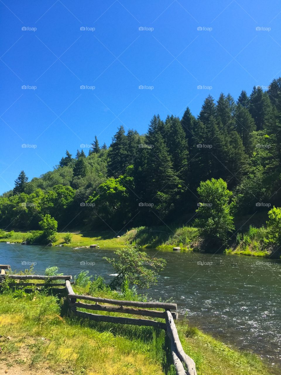 Fence near a river 