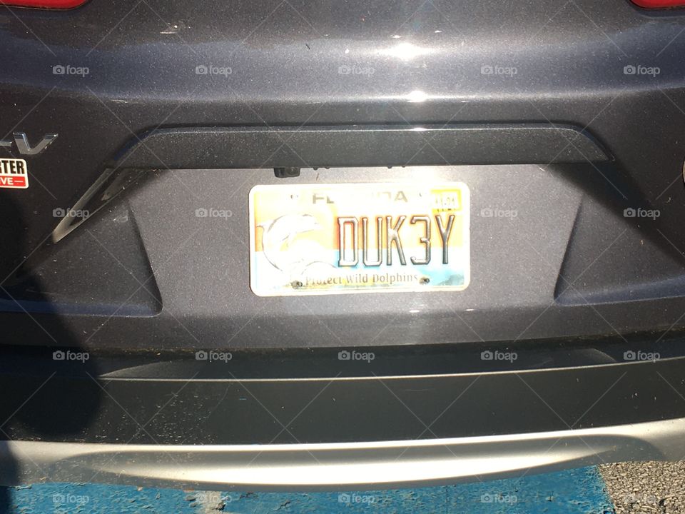 Unique Florida license plate collection 