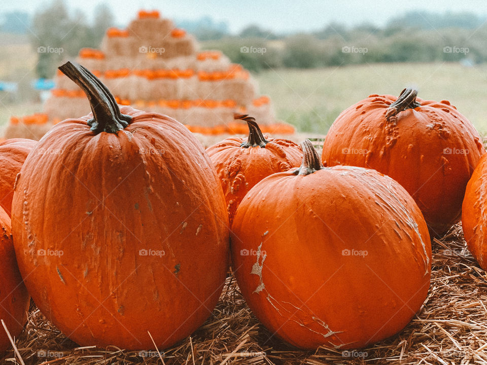 Pumpkins